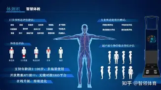 连续作战展现体能储备优势